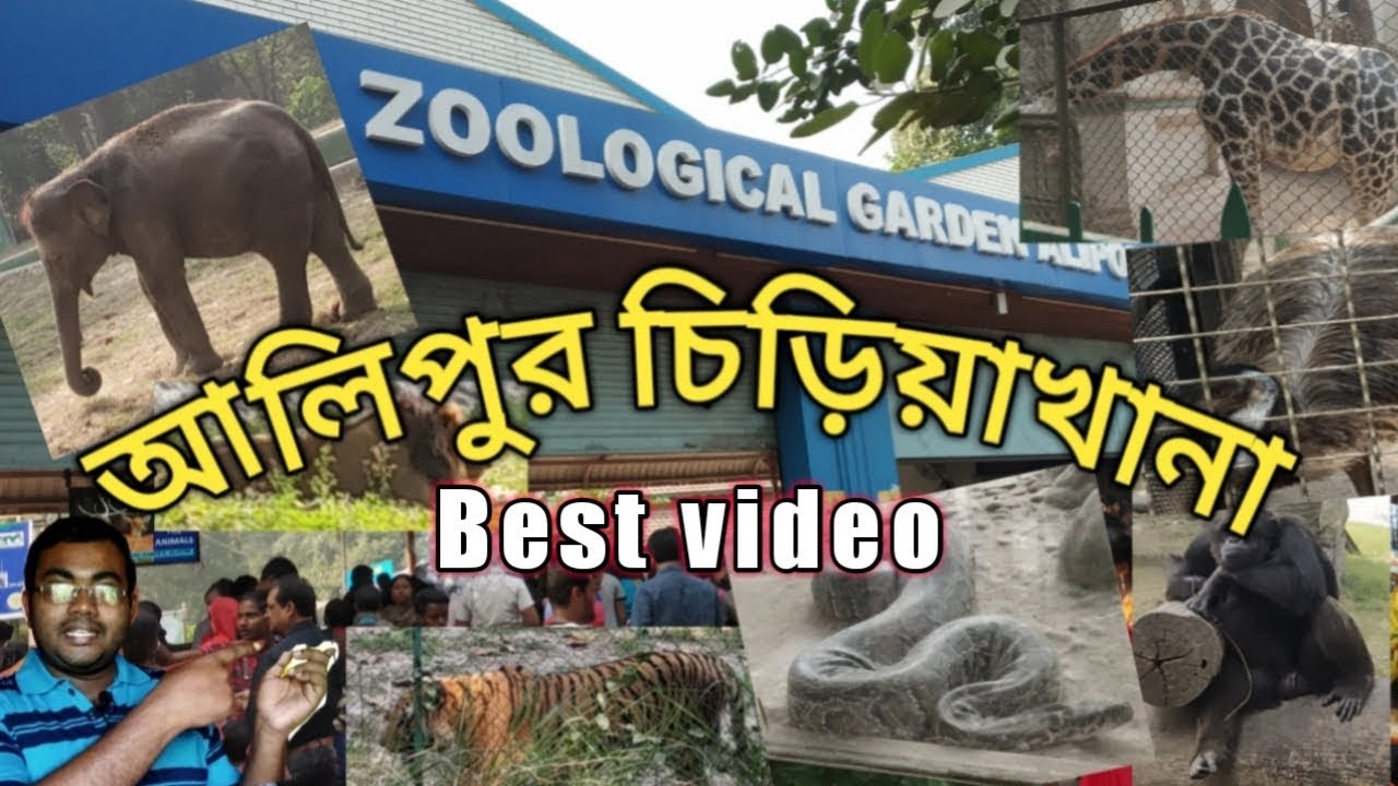 Kolkata alipur zoo||Alipur chiriakhana||আলিপুর চিড়িয়াখানা||west bengal|pets and animals