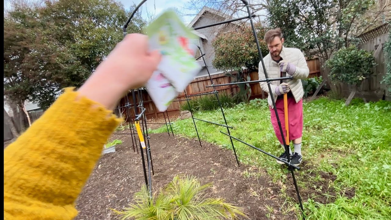 Planting veggies that said 1-2 weeks after last frost date