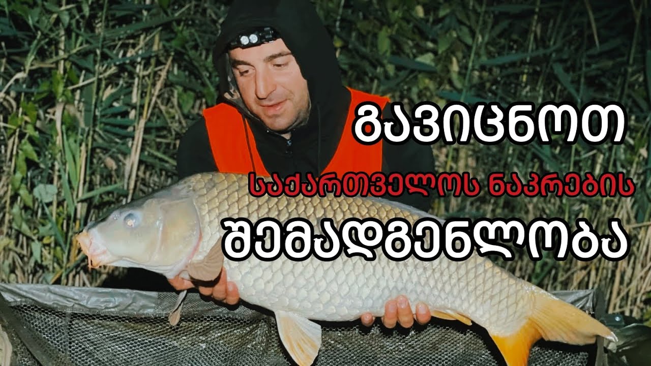 დავით აკოლაშვილი - 2024 წლის მსოფლიო ჩემპიონატზე (ინტერვიუ)