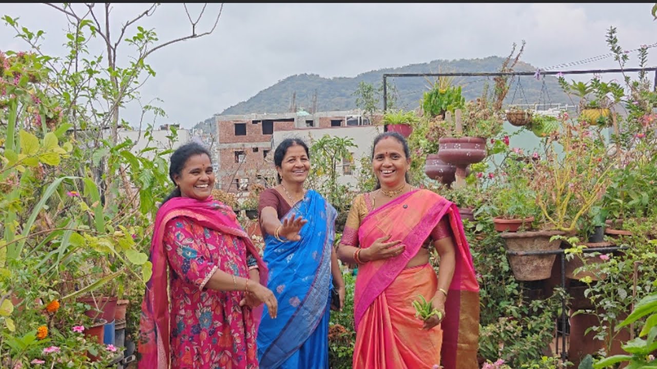 వనమాలిని గ్రూపు అడ్మిన్  అరుణ గారి గార్డెన్ #మాబుజ్జితోటఛానల్ 