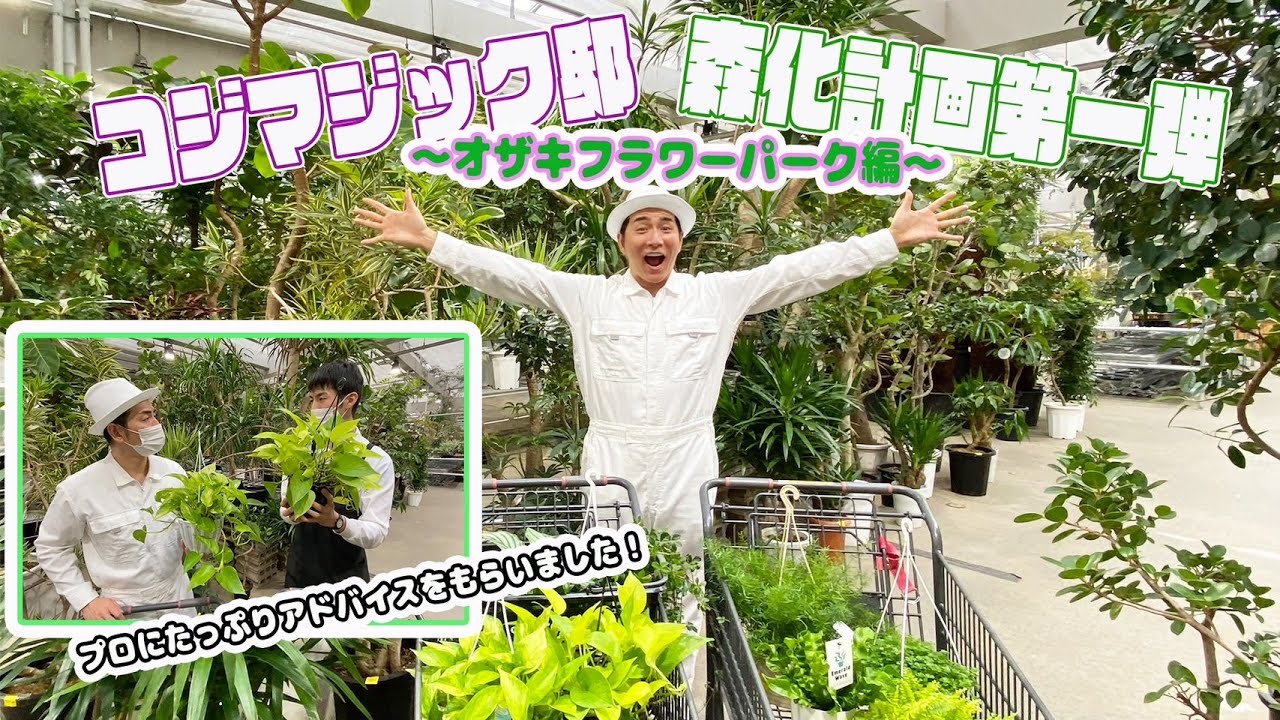 【観葉植物を爆買い！】コジマジック邸 森化計画 第一弾！〜オザキフラワーパーク編〜