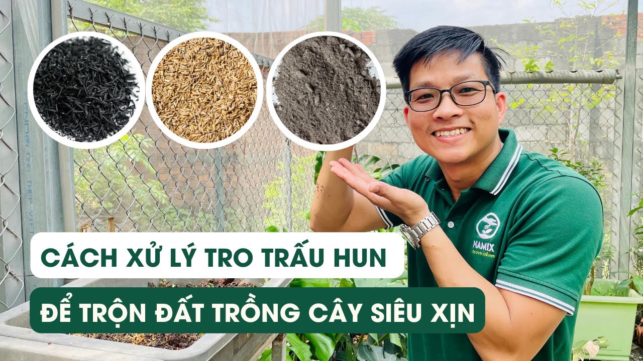 Tập 37 - CÁCH SỬ DỤNG TRO TRẤU ĐỂ TRỘN ĐẤT TRỒNG CÂY SIÊU XỊN