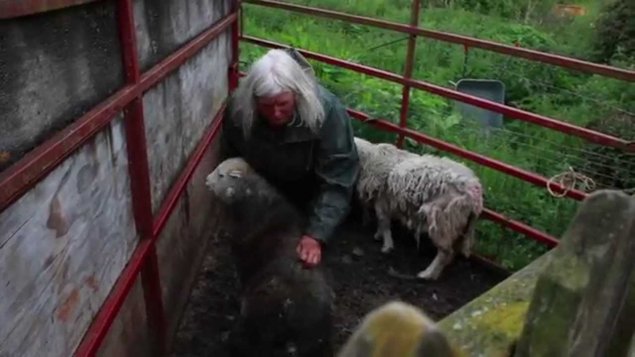 The Hill Farmer
