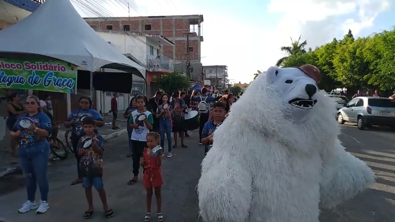  URSO DA MATA PARTICIPOU DO BLOCO (25/01/2026)SAPÉ-PB 🥁🐻