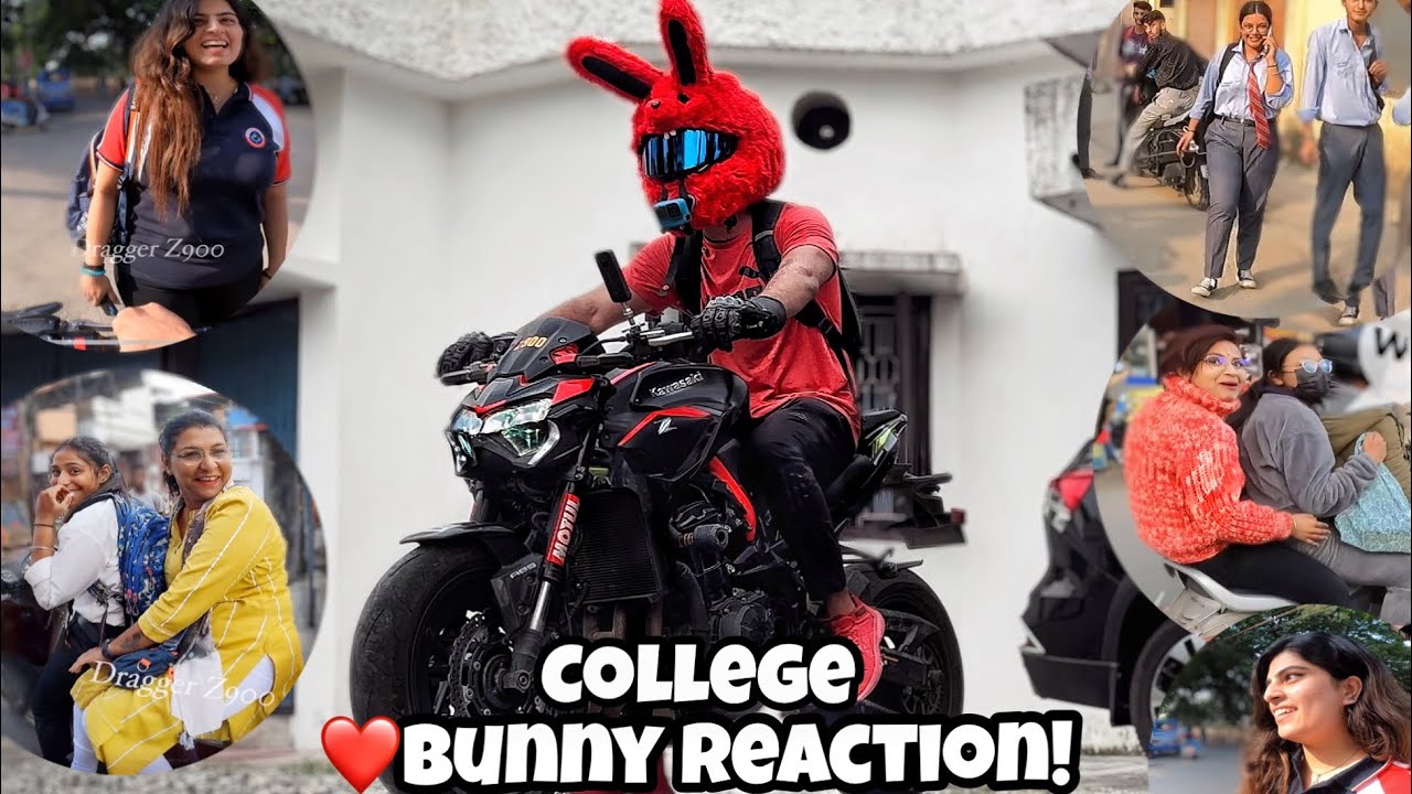 Bunny on Superbike! Part 3 | Crazy Reaction | Kawasaki Z900 in Market! #z900 #bunny #reaction