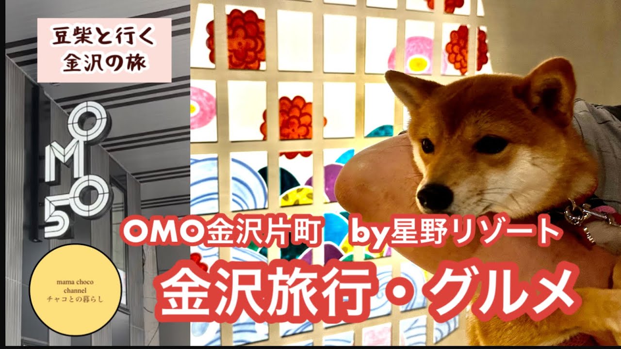 【豆柴と金沢】観光&グルメ/ＯＭＯ金沢　片町