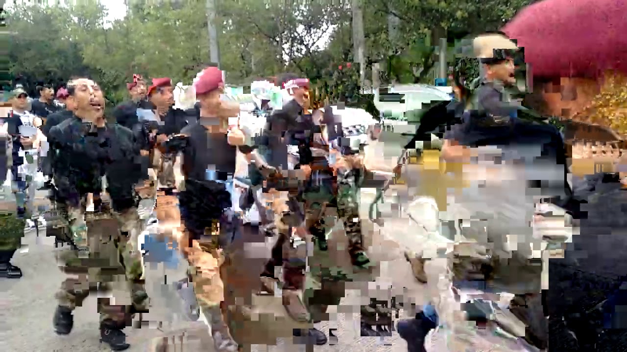 Brigada de Paracaidistas - Chutes Veteranos México.