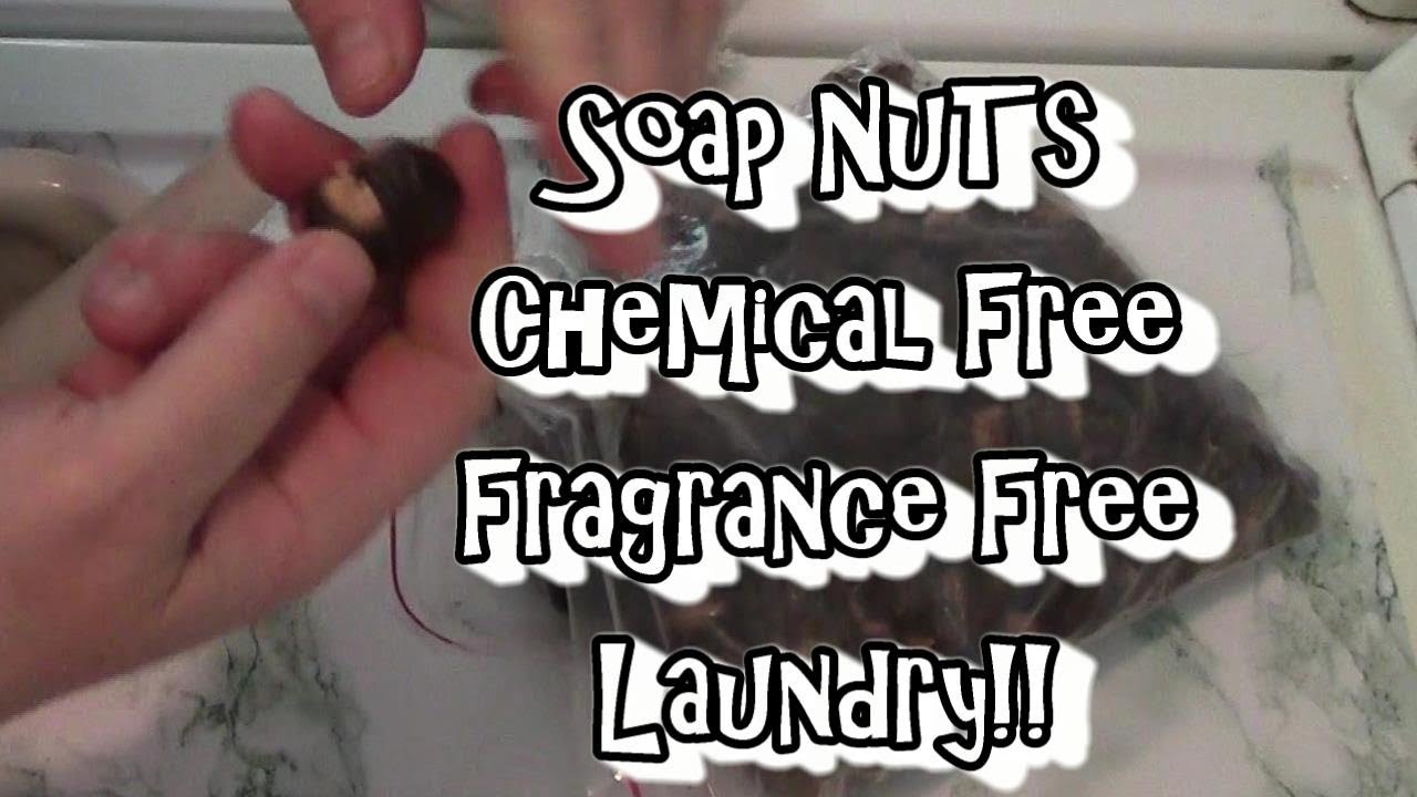 Soap Nuts, Soap Berries