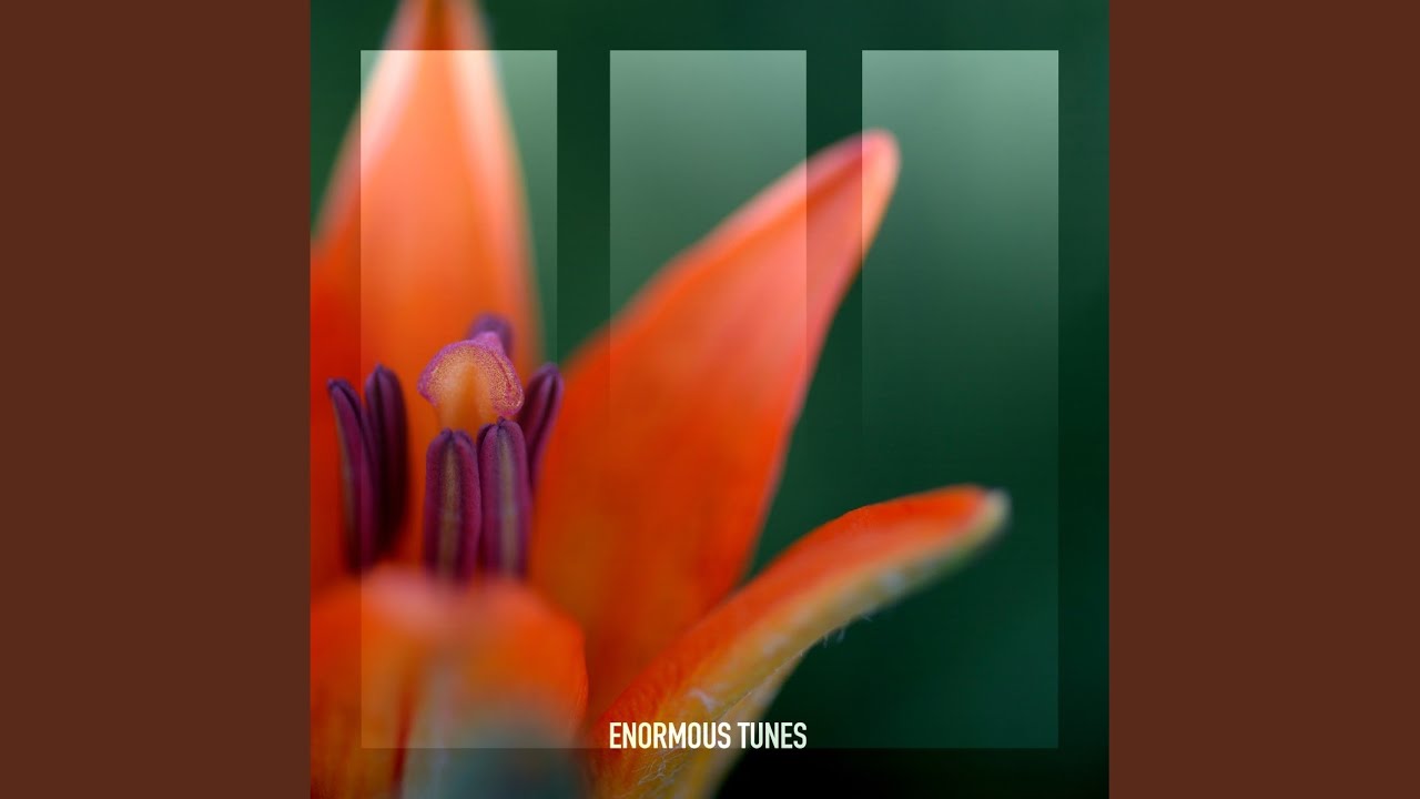 Dare to Dream (Extended Mix)