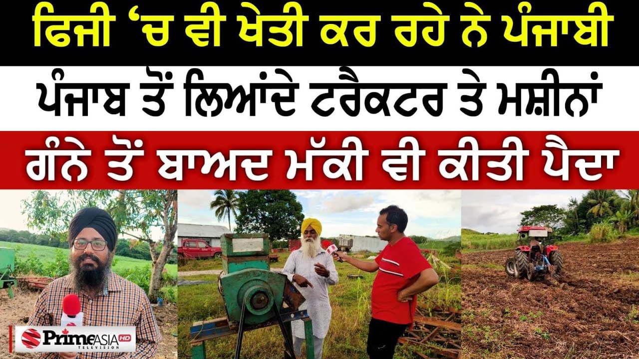 ਫਿਜੀ ‘ਚ ਵੀ ਖੇਤੀ ਕਰ ਰਹੇ ਨੇ ਪੰਜਾਬੀ | ਪੰਜਾਬ ਤੋਂ ਲਿਆਂਦੇ ਟਰੈਕਟਰ ਤੇ ਮਸ਼ੀਨਾਂ