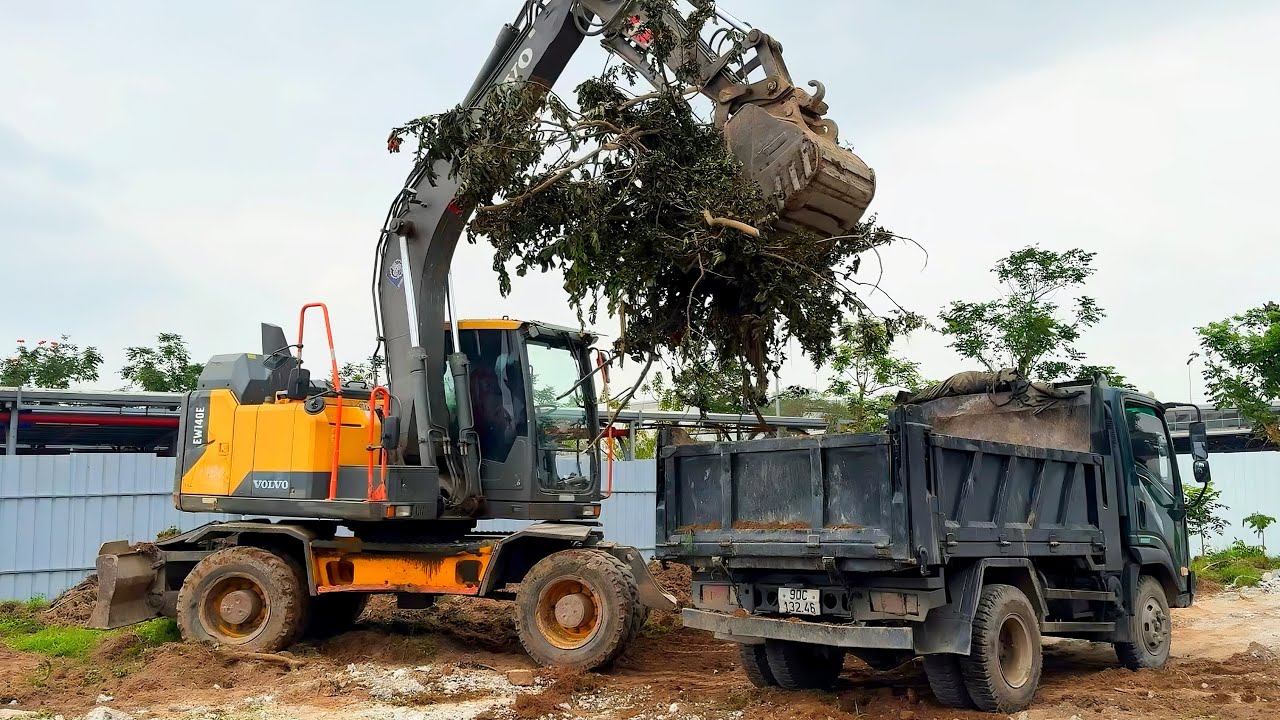 M&aacute;y x&uacute;c c&ocirc;ng trường: X&uacute;c đất dọn mặt bằng, cẩu c&acirc;y & c&agrave;nh c&acirc;y kh&ocirc; Nhanh Gọn - Excavator Construction