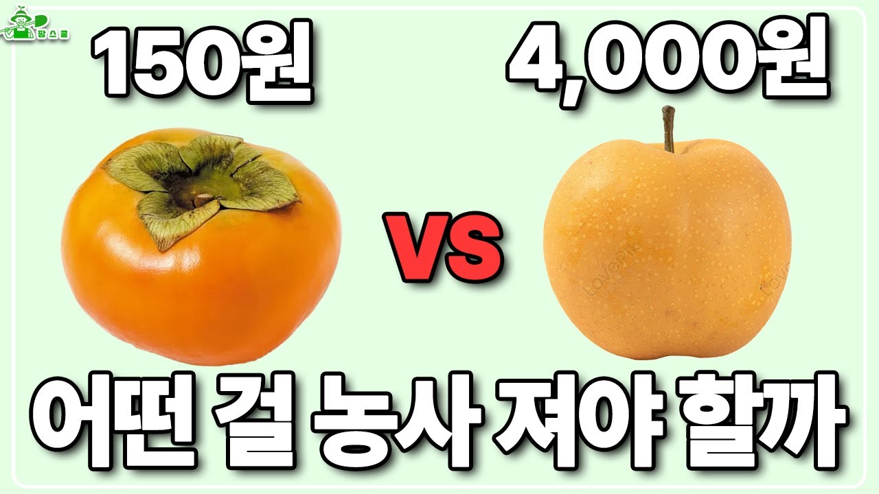 어떤 걸 농사 지어야 할까요?ㅣ비싸다고 아무거나 키우면 안되는 이유 ㅣ최소 10년은 키워보자