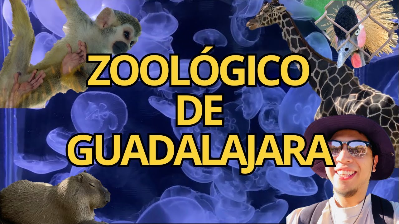 ZOOLÓGICO GUADALAJARA | ¿DE LOS MEJORES DE AMÉRICA? | GUIA COMPLETA