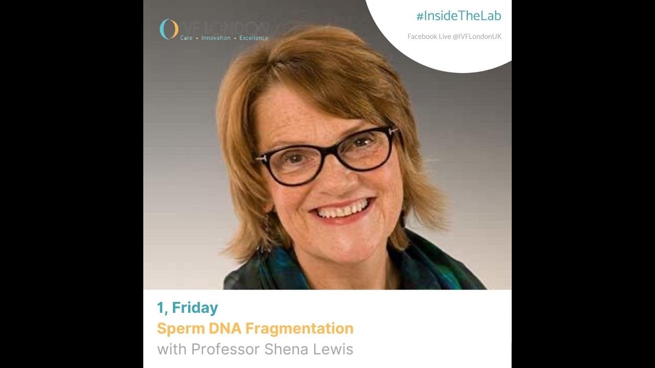 Discussion with Professor Professor Sheena Lewis on the Sperm DNA damage.