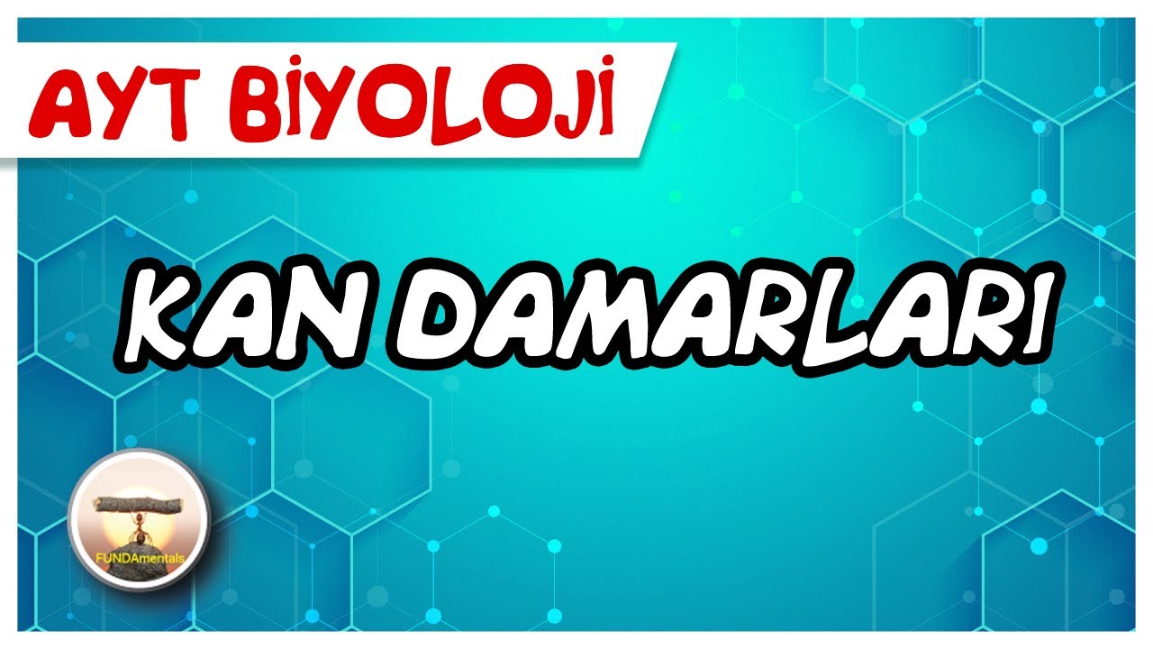 AYT Biyoloji | Kan Damarları #sayfa80