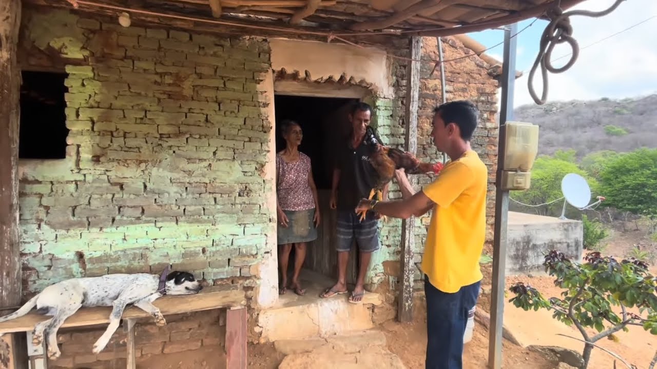 FUI LEVAR UM GALO PARA ESSA SENHORA QUE VIVE NO MEIO DESSA MATA EM UMA SERRA 