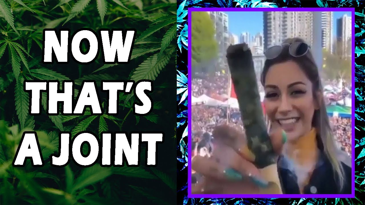 WEED MEMES & Fail Compilation [#16] - Fatally Stoned
