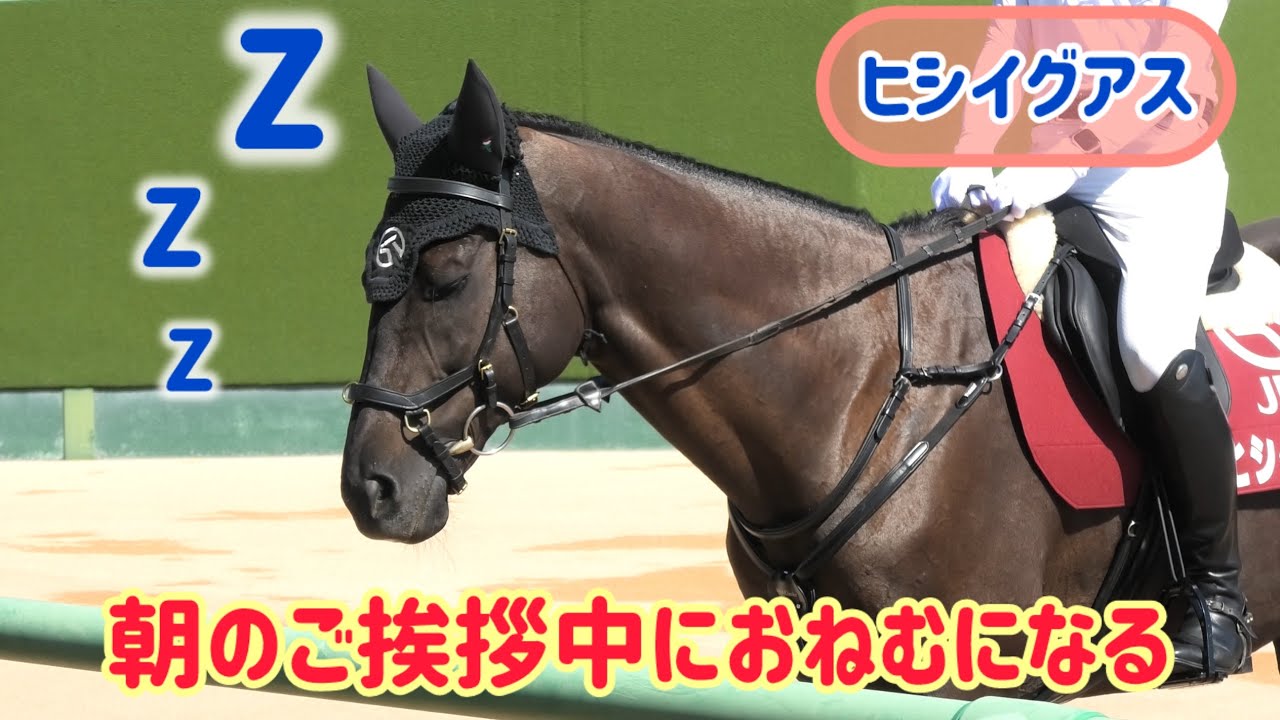 【誘導馬】睡魔に負けて舟をこぎだしてしまうヒシイグアス