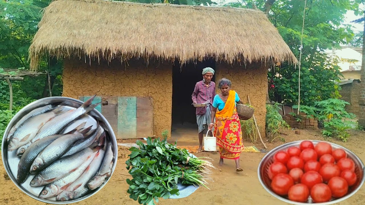 80 years old grandma & grandpa cooking FISH CURRY and eating | village lifestyle of tribe people