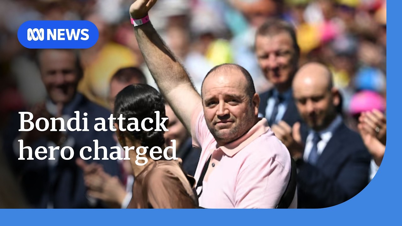 Bondi terror attack hero charged with domestic violence assault | ABC NEWS
