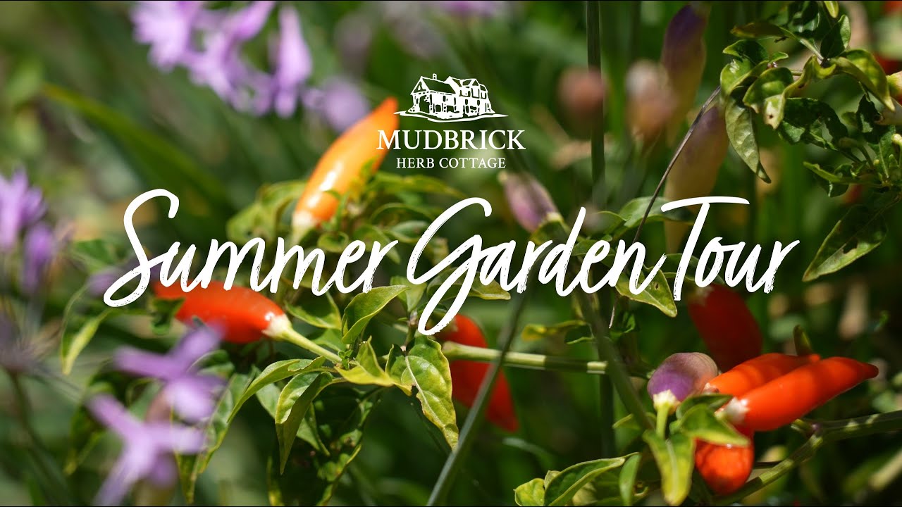 Summer Garden Tour 2023 - Mudbrick Herb Cottage