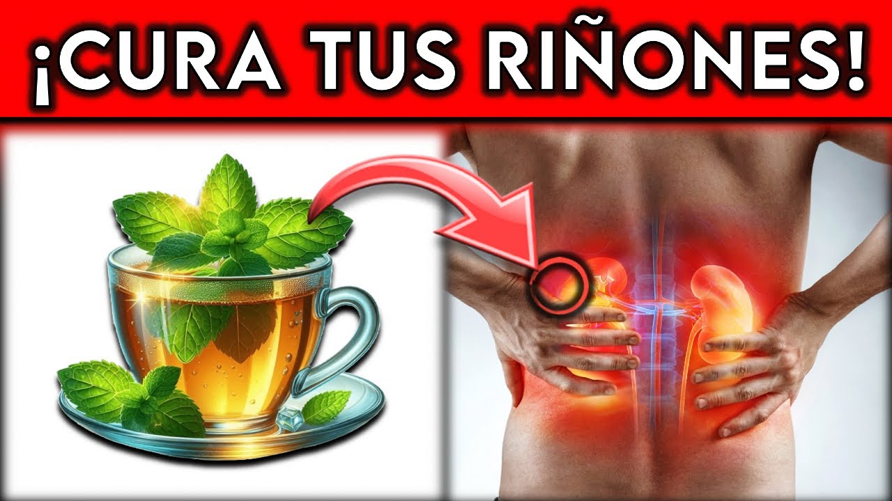 BEBIDA #1 que MEJORA tus RIÑONES || ¡EVITA la DIALISIS!