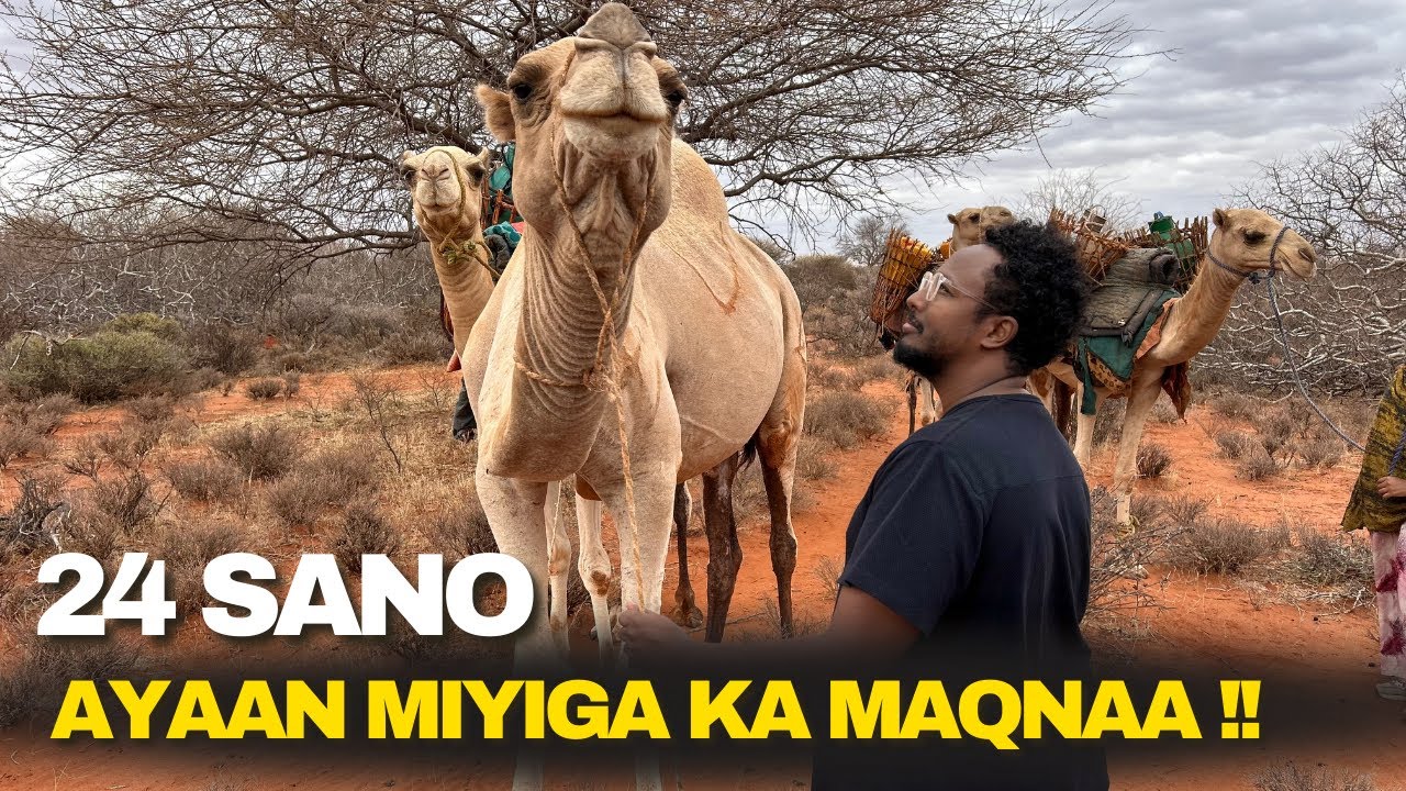 Diaspora Waayo Arag Ah Ayaa Miyiga Nagu Soo Booqday!!