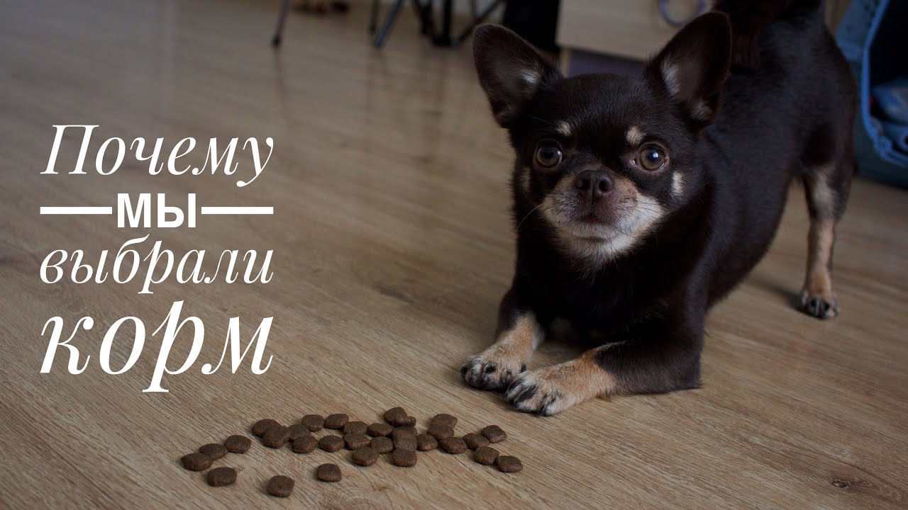 ПОЧЕМУ УШЛИ С НАТУРАЛКИ