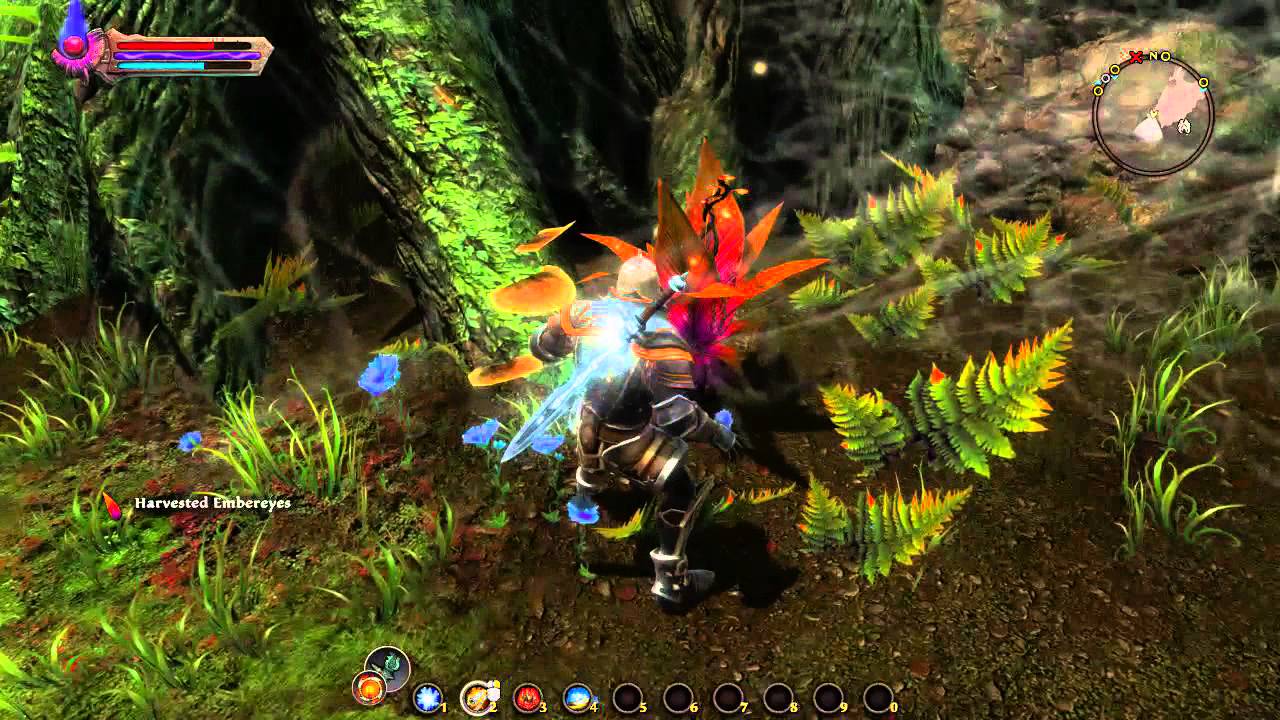 Where I've Been - Kingdom of Amalur