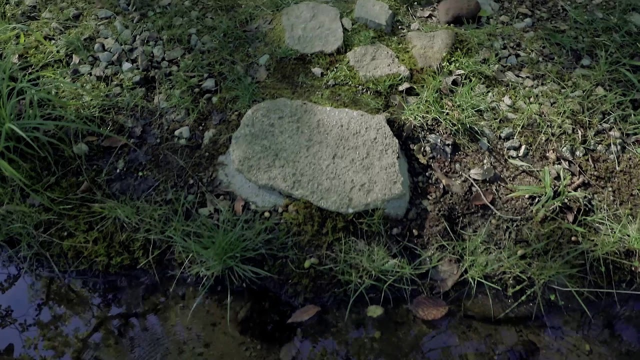 Water Garden by junya.ishigami+associates