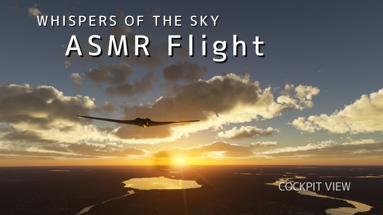 ASMR Flight | Horten Ho 229 over Berlin, Land Berlin (No Commentary) //65