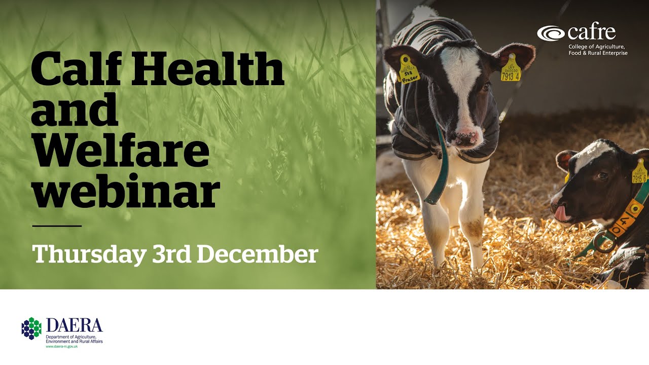 CAFRE Calf 2020 Webinar 3 – Calf Health and Welfare
