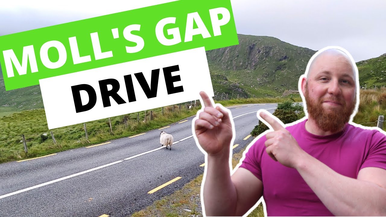 ПУТЬ ИЗ КЕНМАРА В МОЛЛС-ГЭП — Великолепное кольцо Керри-Драйв от первого лица (4K)