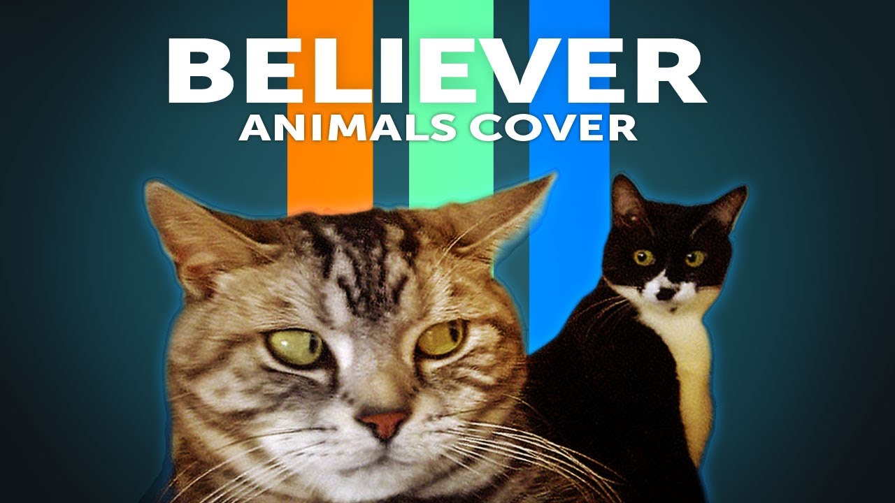 Believer - Imagine Dragons (Animal Cover) Remix Parody