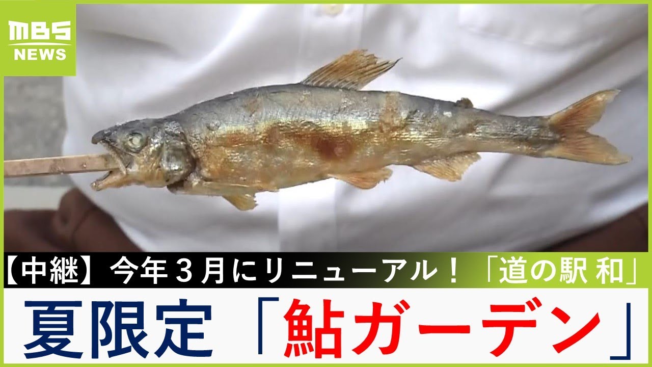 『鮎のつかみ取り』が大人気！地元野菜を破格の値段で販売する『野菜市』も必見　京都・京丹波町「道の駅　和」【福島暢啓の潜入！今昔探偵】【現場から生中継】（2024年8月12日）