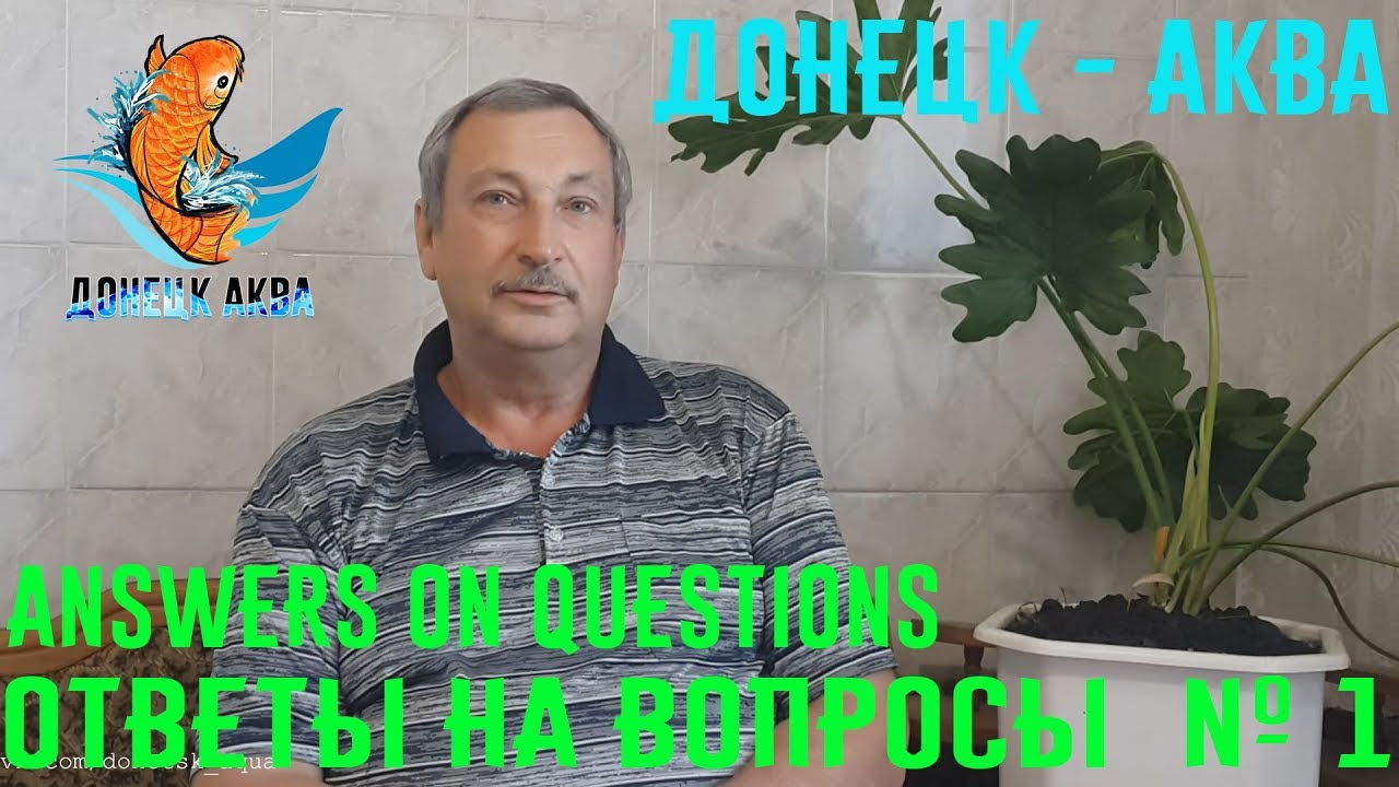 донецк аква, ответы на вопросы 1, все о аквариумных рыбках, советы, как содержать, как отнерестить