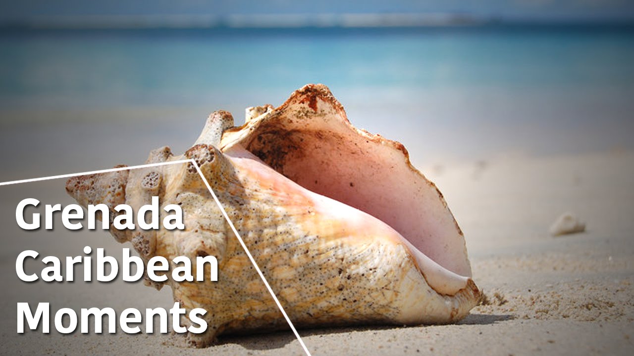 Grenada - Caribbean Moments - The Secrets of Nature