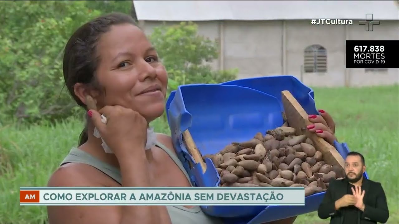 Reservas extrativistas transformam sementes em riqueza na Amazônia