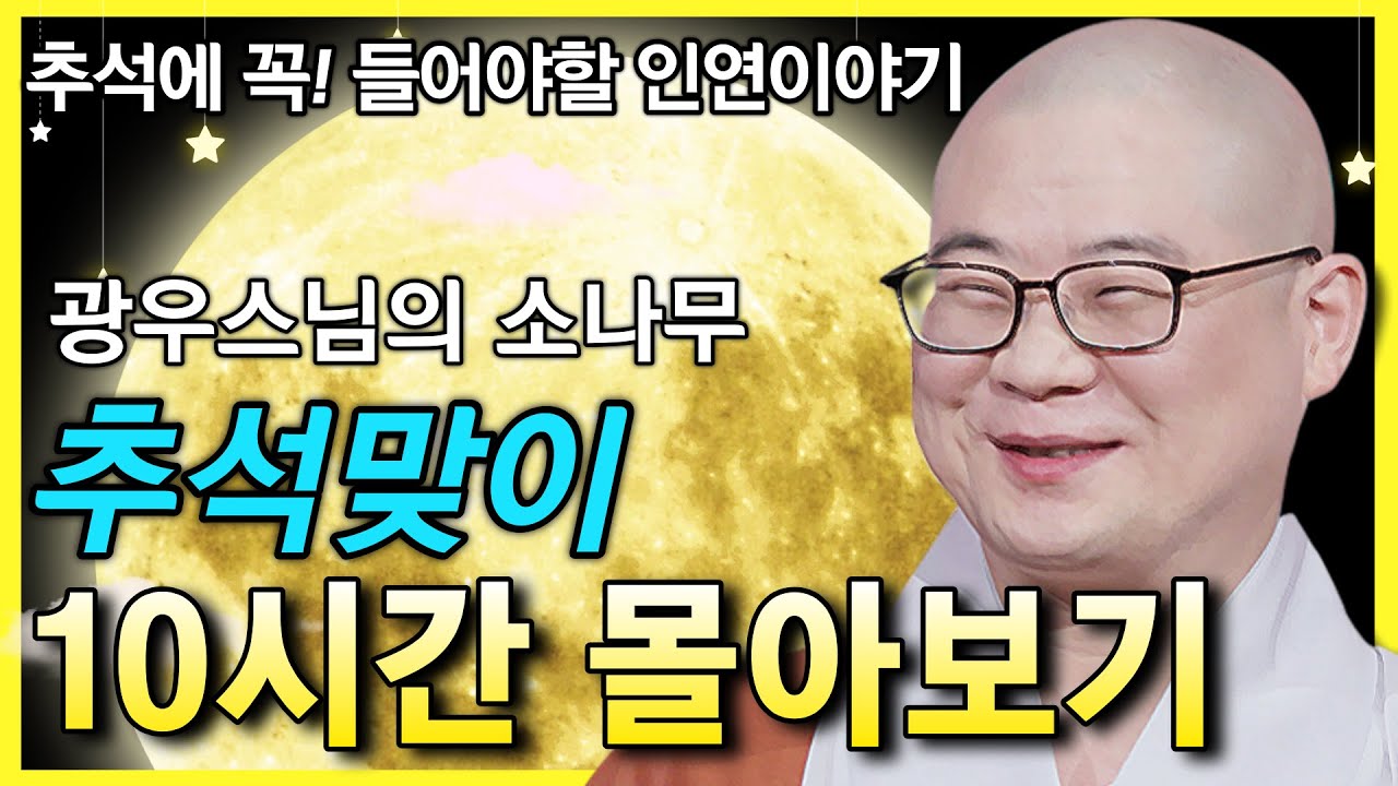 추석맞이 광우스님의 소나무 10시간 몰아보기 ㅣ 추석에 꼭! 들어아하는 인연이야기