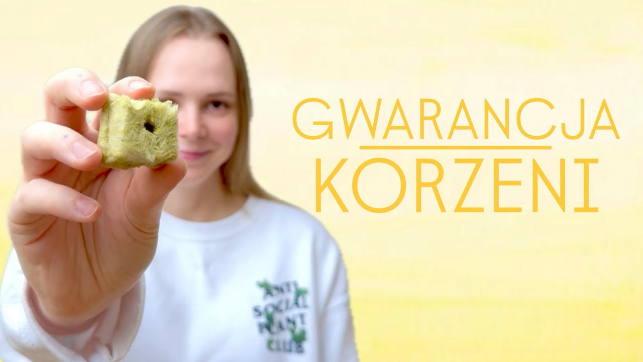 Mój sposób ukorzeniania roślin・o nim jeszcze nikt nie mówi 