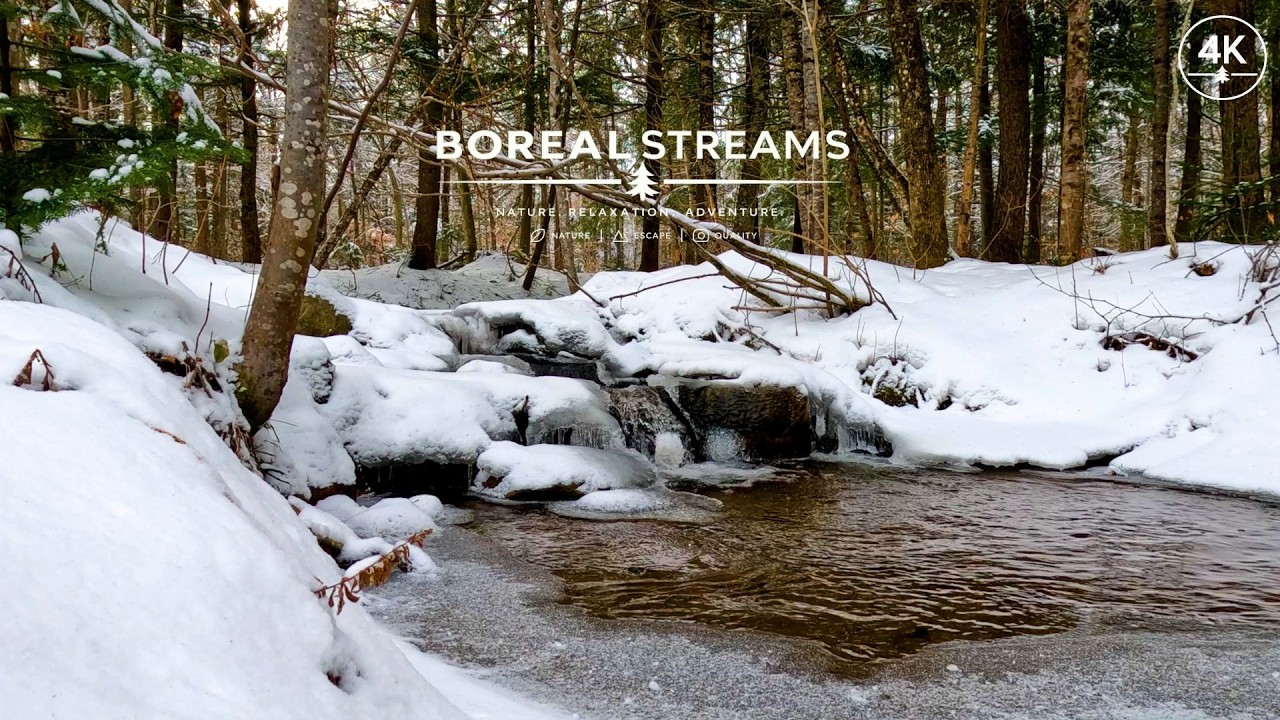 Frozen Waterfall | Relaxing Nature Sounds of Flowing Water