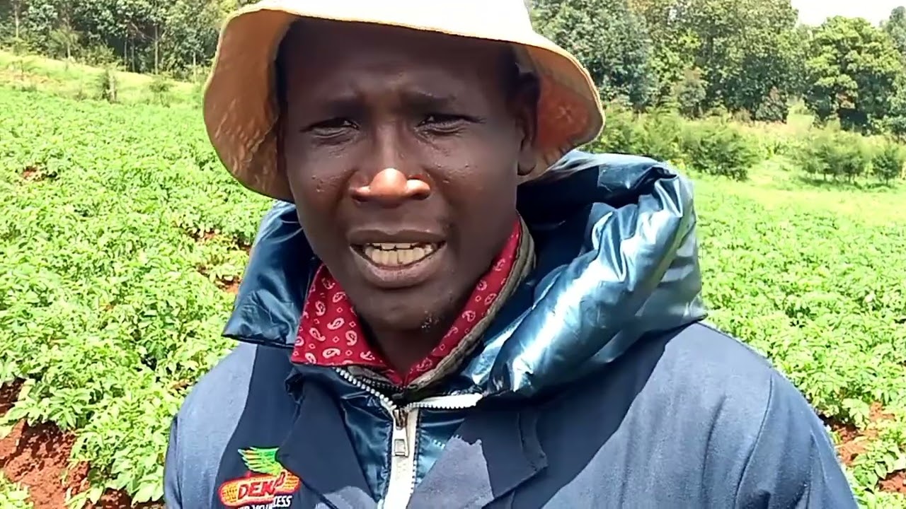 #Trends in agriculture . Meet a successful farmer 