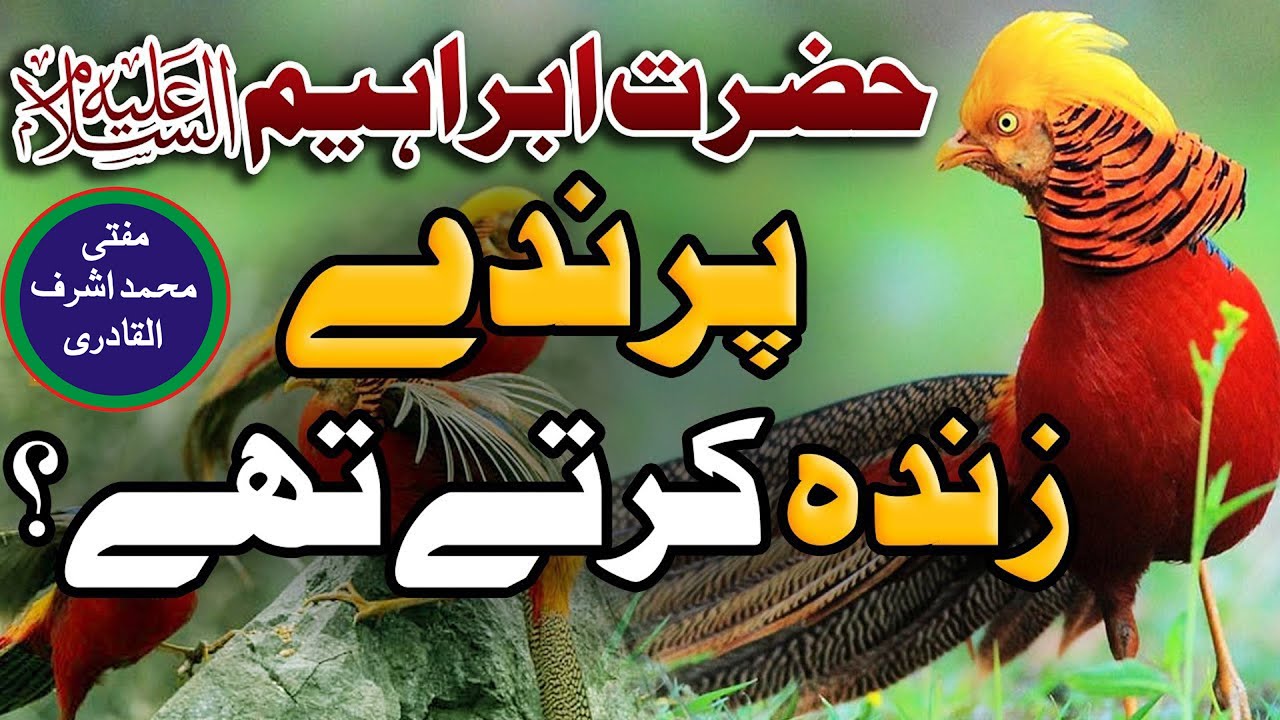 Hazrat Ibraheem Alaihe Salam Or Chaar Parinde | Fatwa Tv