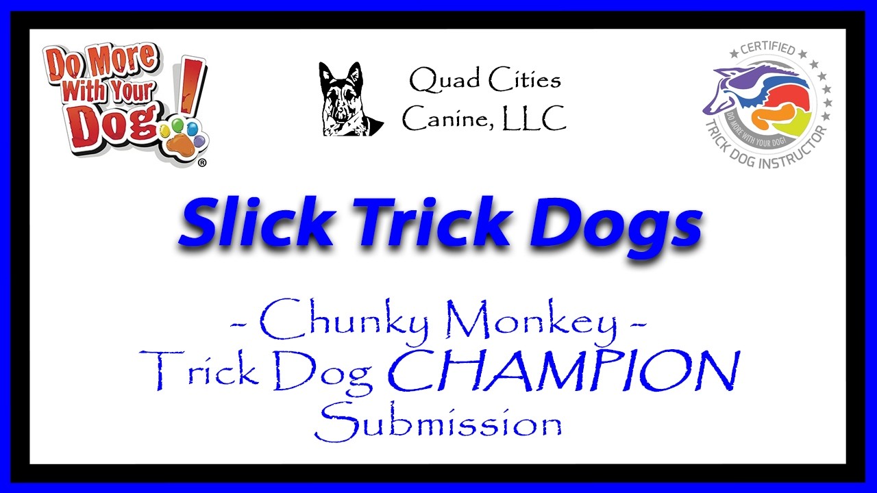 Chunky Monkey's Trick Dog CHAMPION Submission