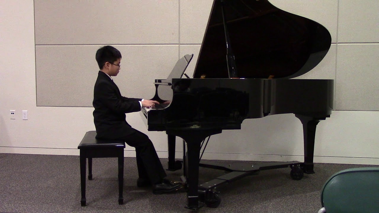 Daniel Namkung CAPMT Honors Competition 2018