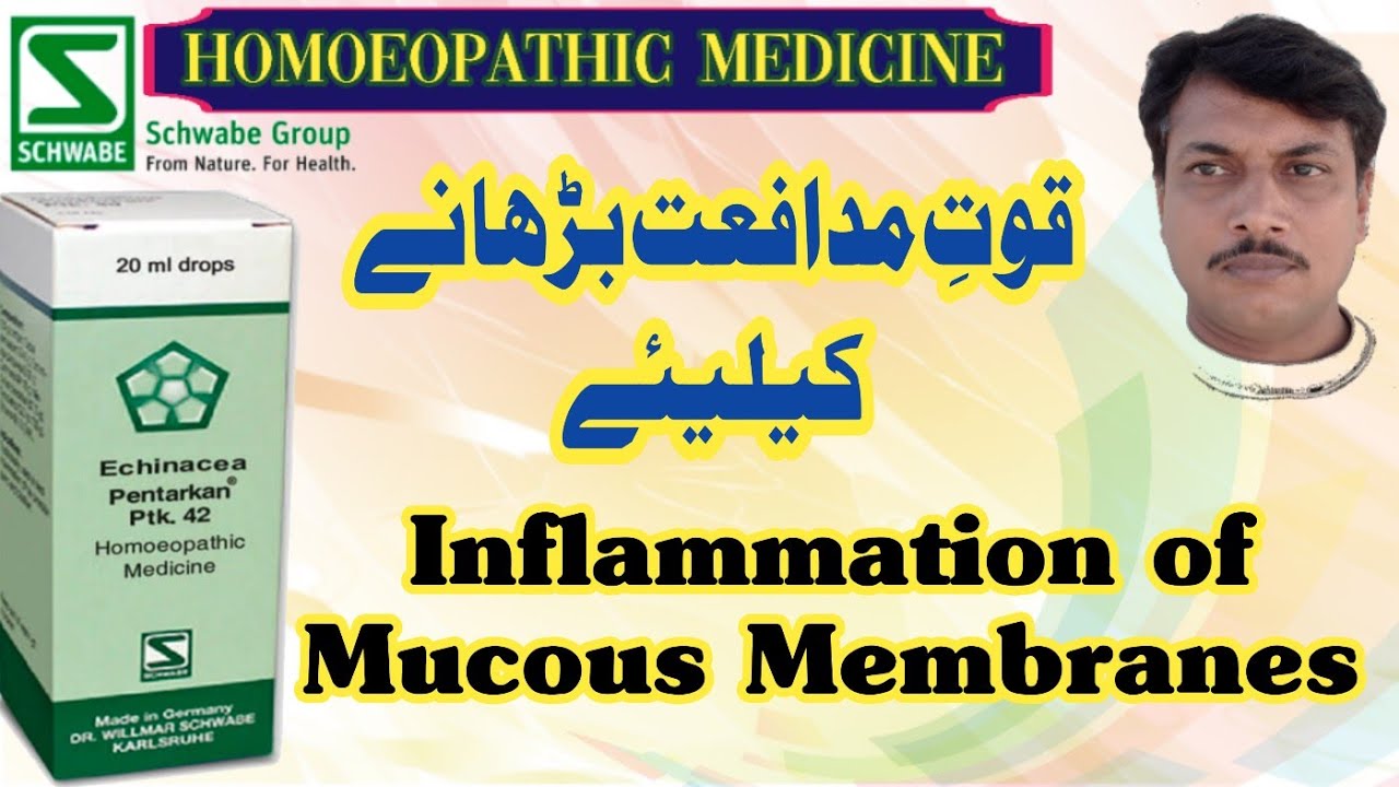 PTK 42 Echinacea Pentarkan | Dr.Willmar Schwabe Germany | Homoeopathic Medicine | Urdu Hindi