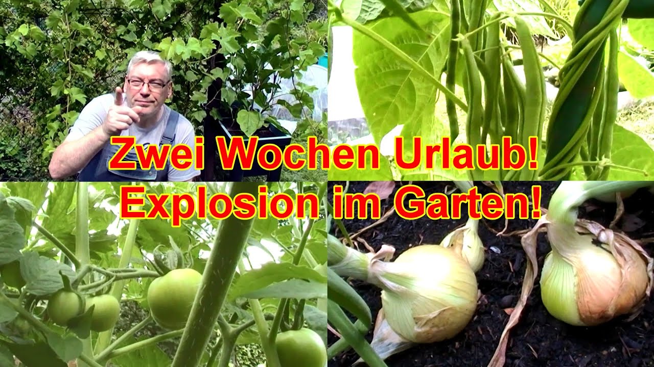 S01E03 - Zwei Wochen Urlaub! Explosion im Garten!!