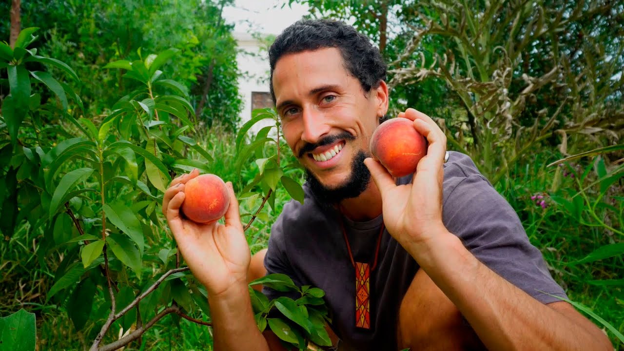 TOUR por un ÉPICO BOSQUE de ALIMENTOS - Permacultura & Sintropia