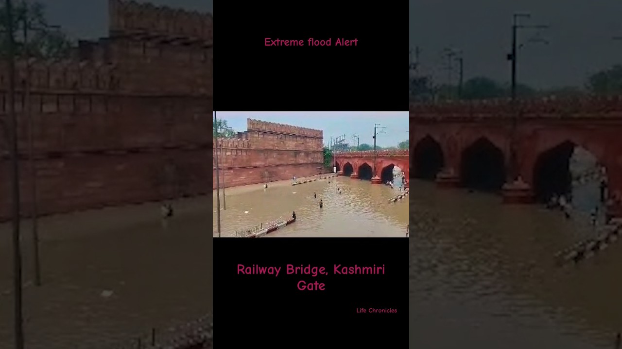 Yamuna River Floods Kashmiri Gate: A Deluge Unleashed #trending #flood