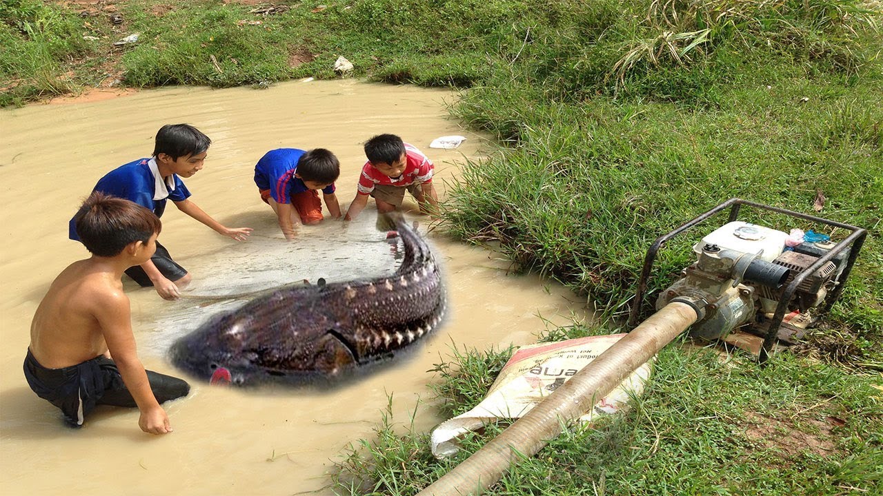 Net Fishing at Takeo Province - Cambodia Traditional Fishing - Khmer Cast Net Fishing